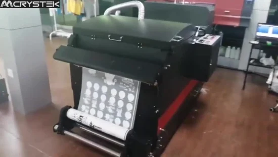 Máquina de impresión de camisetas de 65cm, programa Byhx I3200, cabezal de impresión Dtf, película para mascotas, impresora Digital, máquina de prensado en caliente